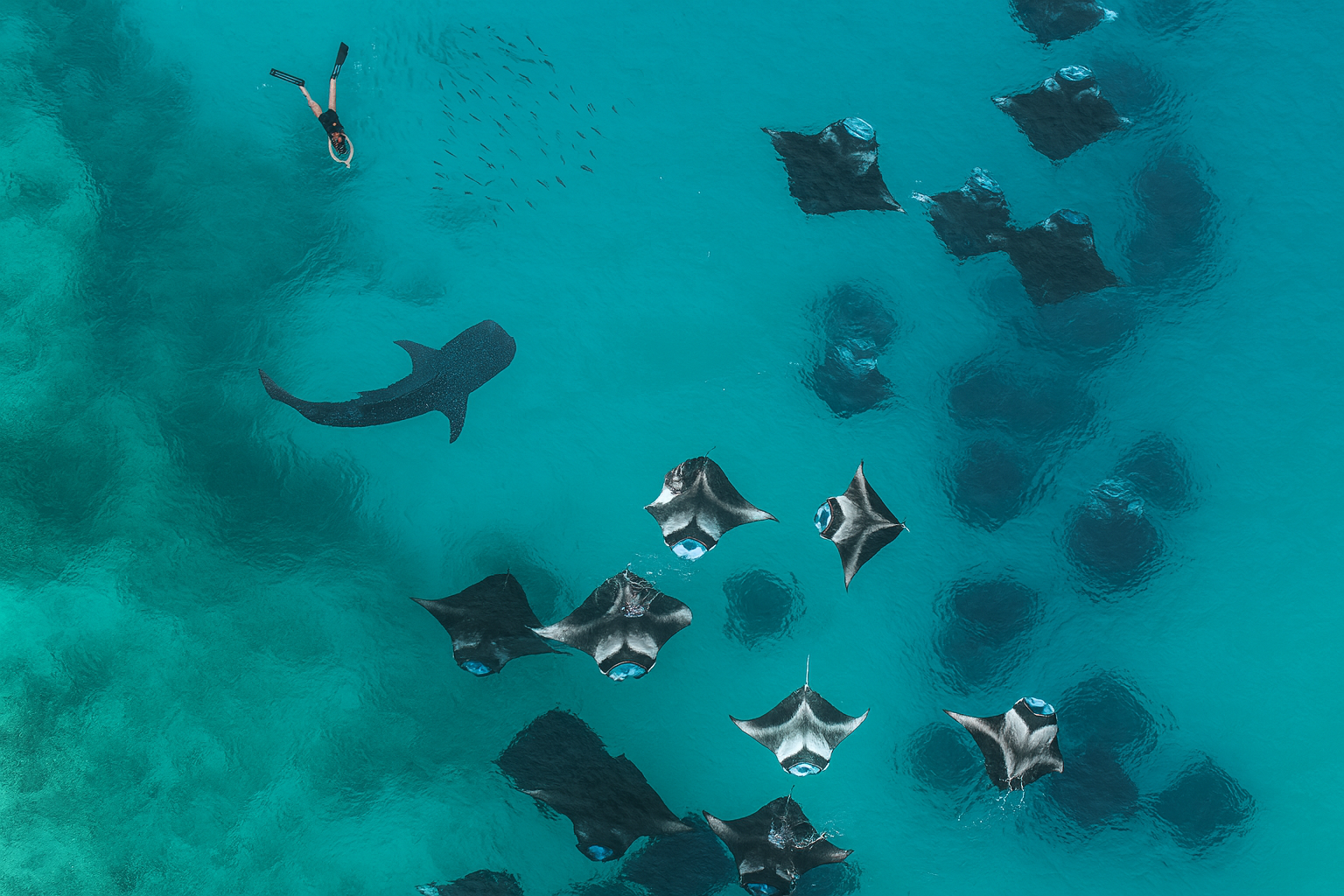 Excursion Trips in Baa Atoll