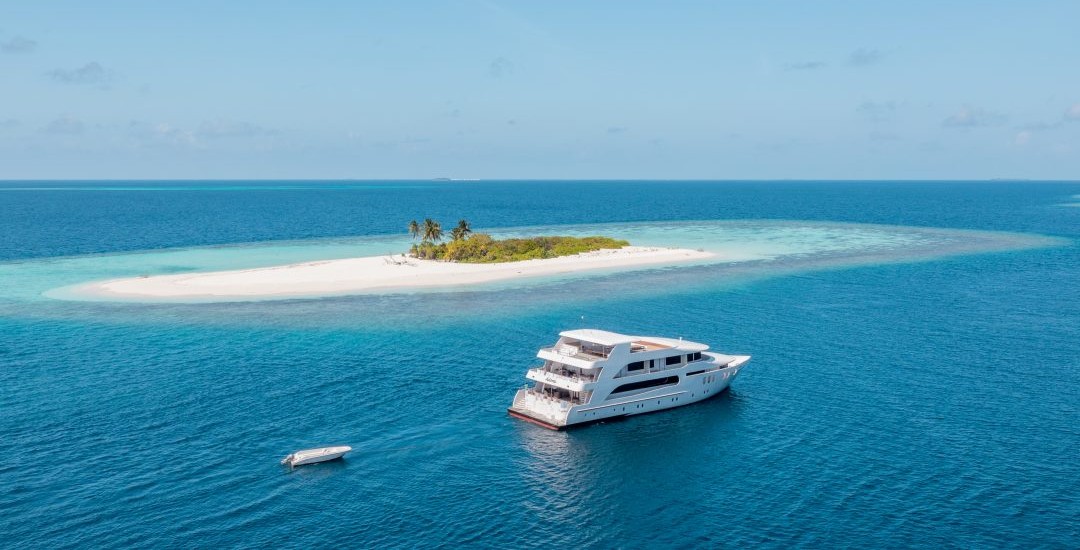 Dive in Liveaboard